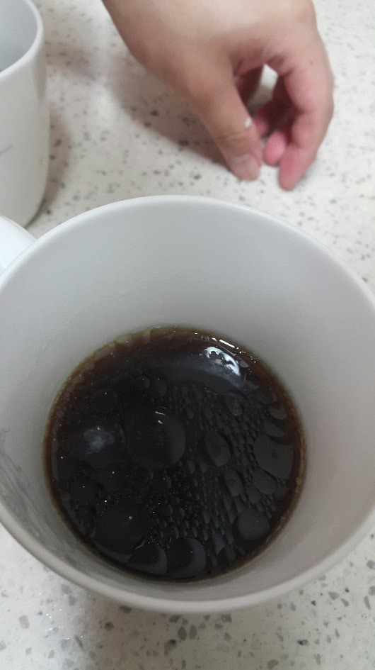 코코엘 이미지
