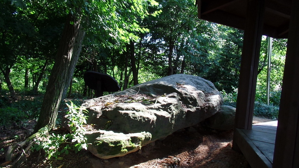 5000년전 마한시대 고인돌이 있는 전주 황방산 공원 산책하기 (안구정화) | 인스티즈