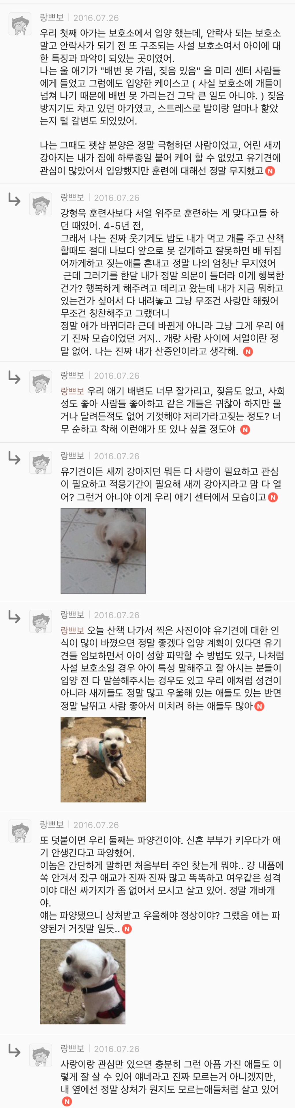 유기견 입양은 좀 꺼려져; 문제가 있어서 버려진 애들 아냐? | 인스티즈