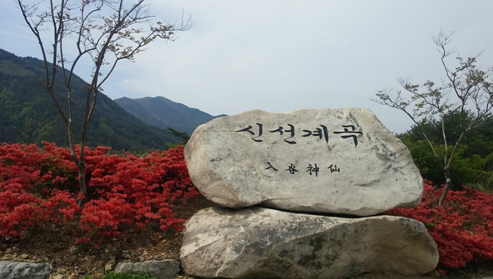 (유)한마음고속관광 이미지