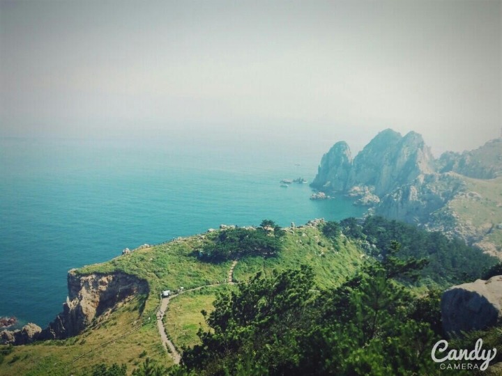 일장춘몽 이미지
