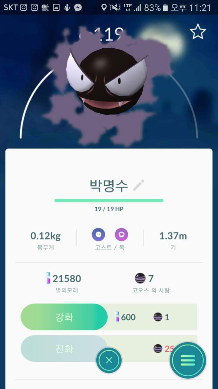 포켓몬고 흔한 포켓몬들의 작명 | 인스티즈