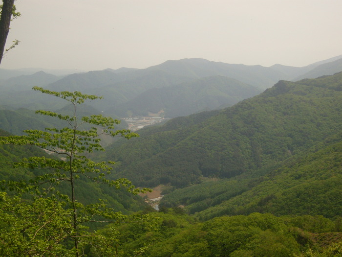 삼거리횟집 이미지