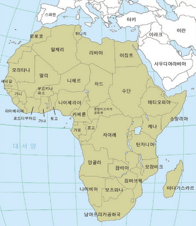 지세포포 이미지