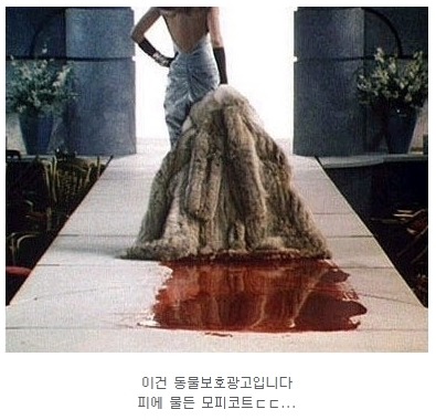 특이하고 뇌리에 박히는 재밌는 광고들.jpg | 인스티즈