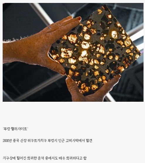 전세계 하나밖에없는 리얼돌.jpg | 인스티즈