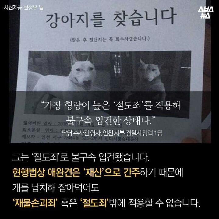제 강아지가 잡아먹혔습니다 | 인스티즈