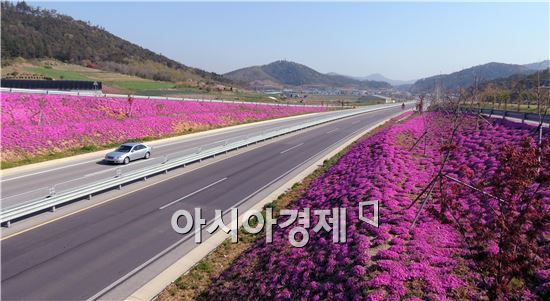 세로운 이미지