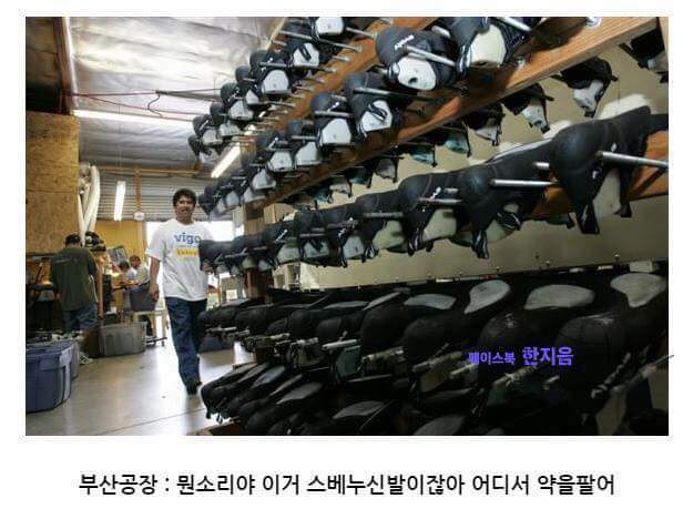 스베누 사태 간단 요약 | 인스티즈