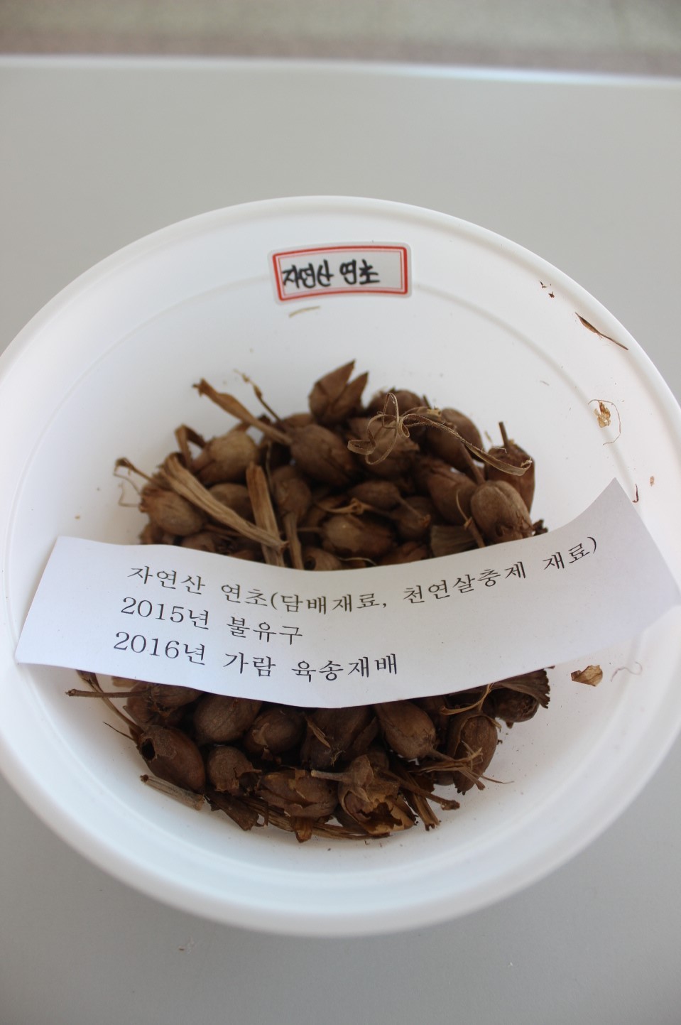 씨드림 이미지