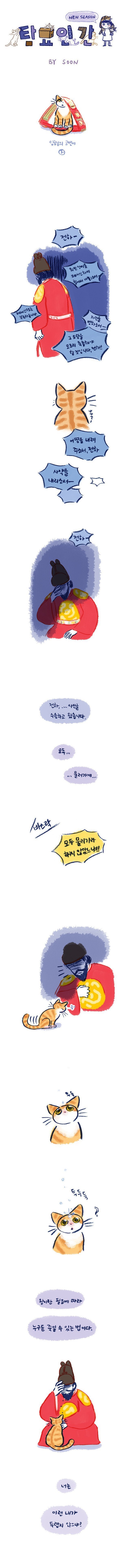 임금님의 고양이 | 인스티즈