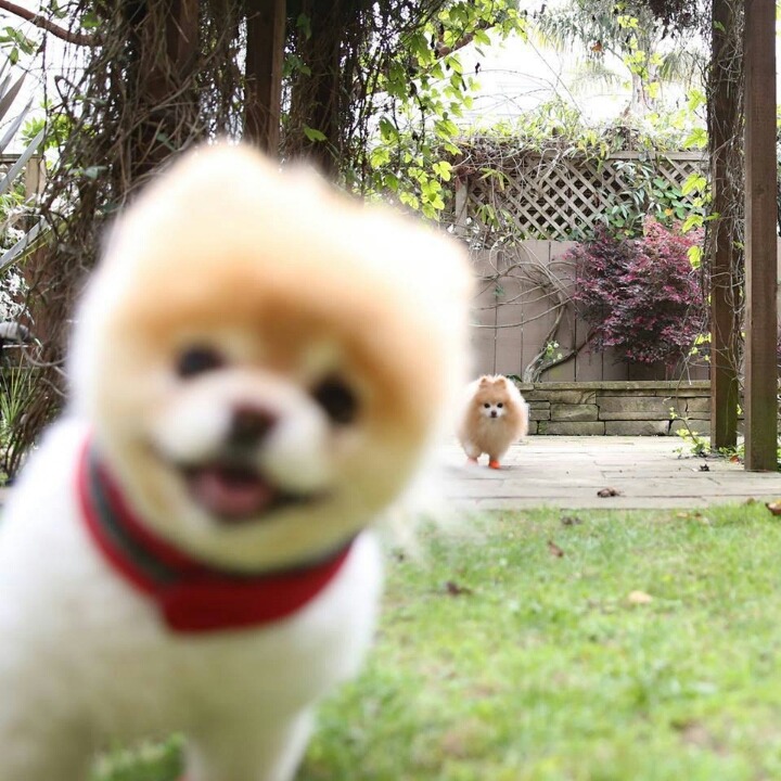 궁금 이미지