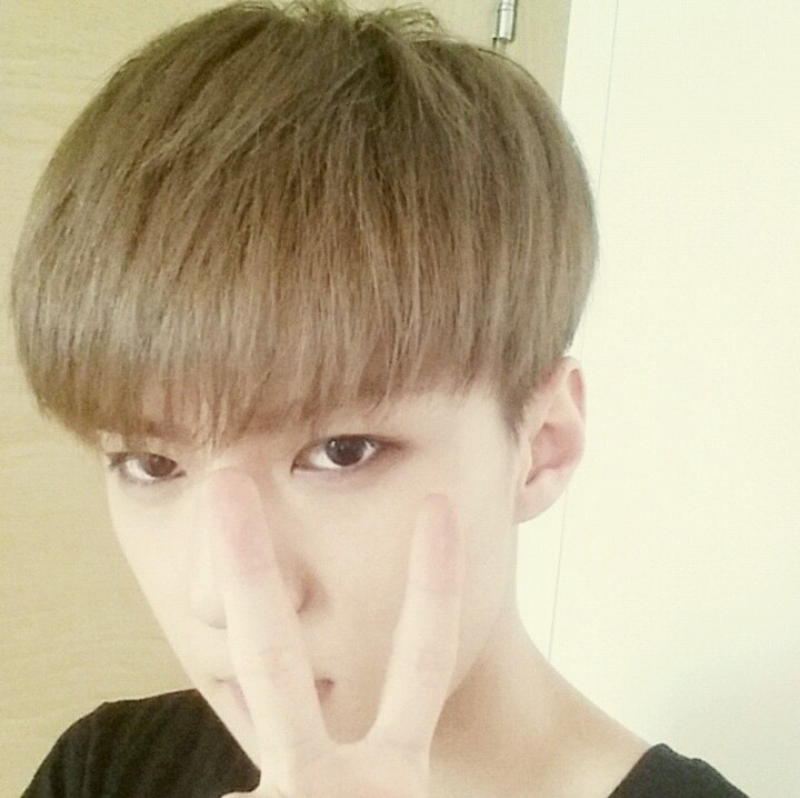 슈보 이미지