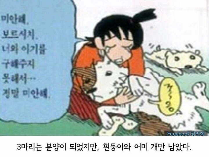흰둥이 출생이야기 jpg | 인스티즈