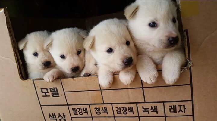 꼬물이들!! | 인스티즈