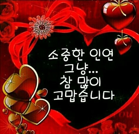 원헌 이미지