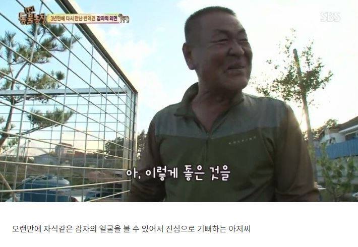 잃어버린 개를 3년만에 찾은 아저씨 | 인스티즈