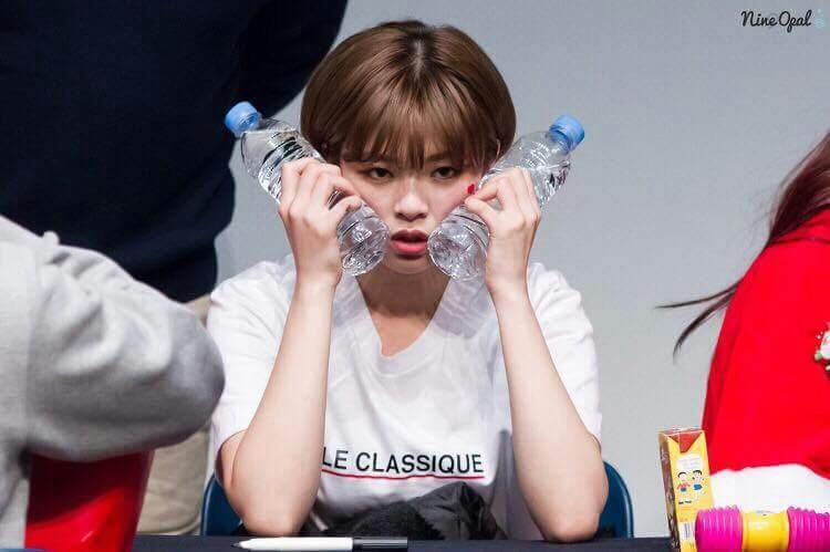 트와이스 갓정연갓 [움짤] | 인스티즈