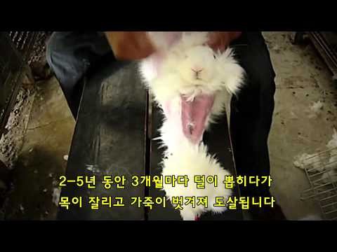 아 내 옷 어디갔어ㅅㅂ 언니 방에 있음? 아나 니트랑 목도리랑 슬리퍼까지 가져갔네 언니 진짜 좀 뺏어가라고; | 인스티즈