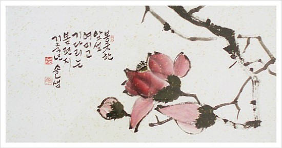 솔샘 이미지