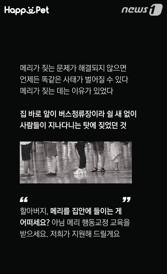 흑석동 강아지 염산테러사건의 전말 | 인스티즈