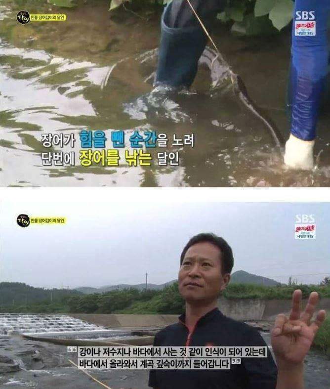민물장어의 위엄 | 인스티즈