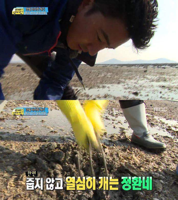 못하는게 없는 안정환 | 인스티즈