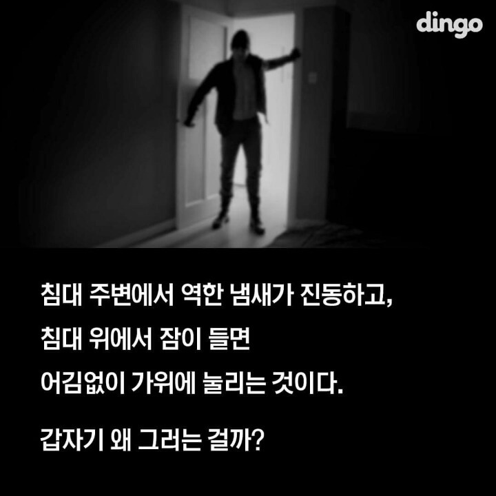 섬뜩한 침대의 비밀 | 인스티즈