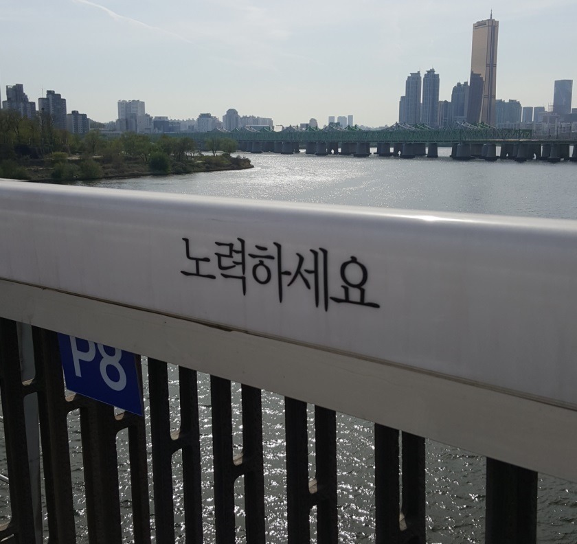 자살방지문구가 더 하라고 재촉하는것 같네요.jpg | 인스티즈