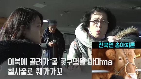 서울역에서 사람들에게 대선에서 누구를 뽑을 거냐고 물어보았다.jpg | 인스티즈