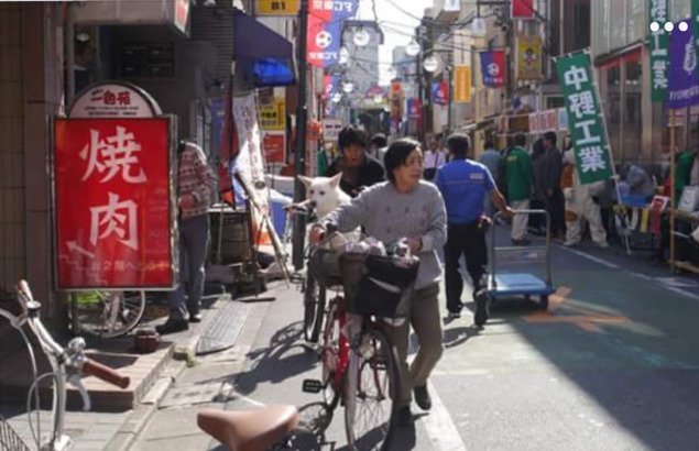 개로 환생한 구남친 | 인스티즈
