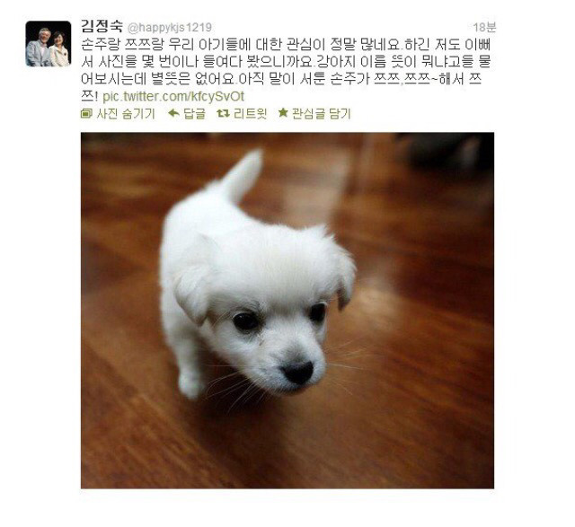 문재인 강아지 .jpg | 인스티즈