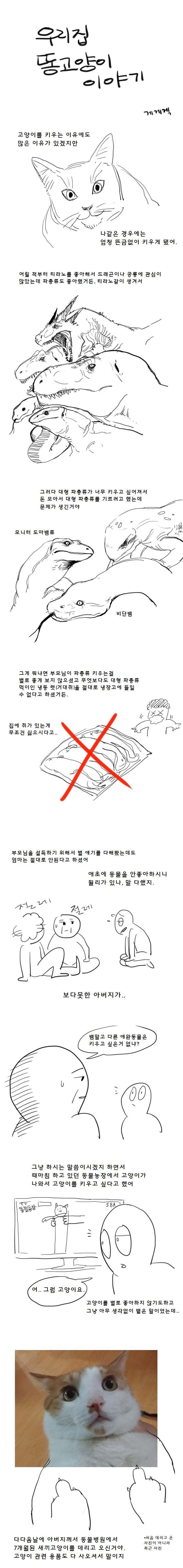 우리집 똥고양이 이야기 | 인스티즈