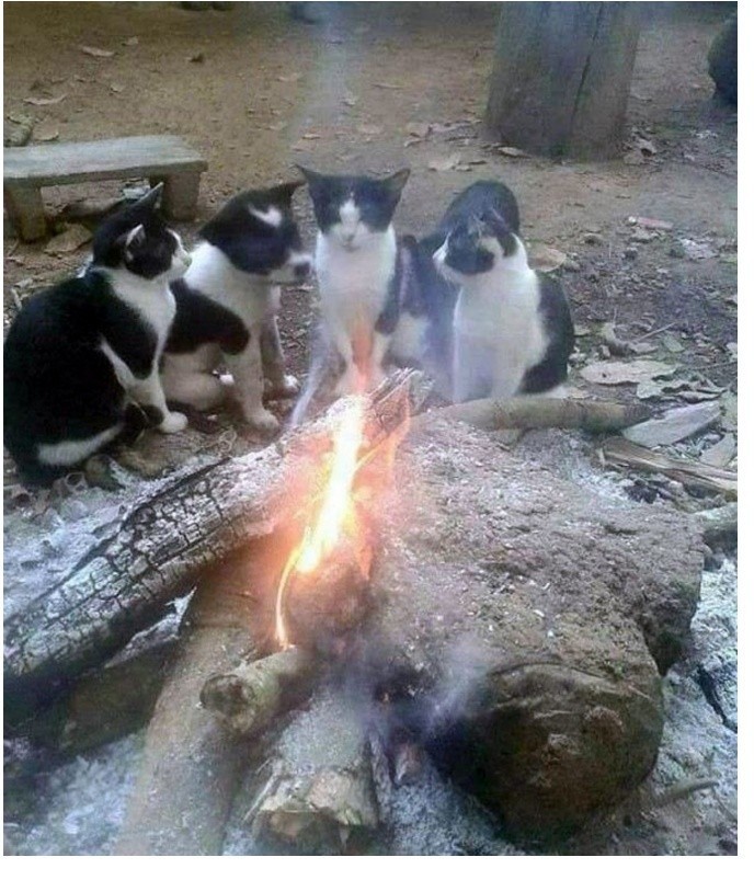 야 뭔가 이상하지않냐?.jpg | 인스티즈