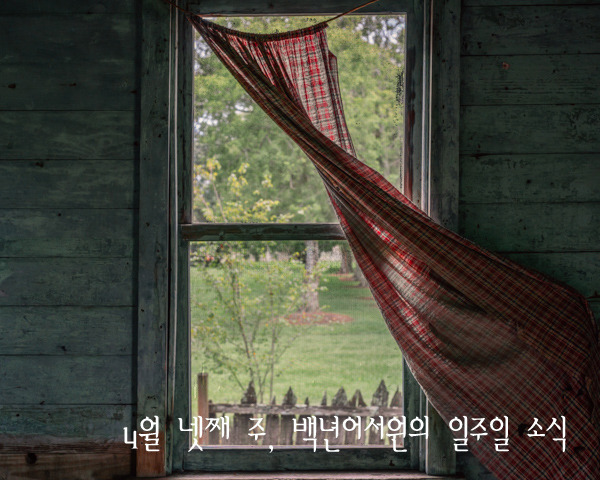 가톨릭서원 이미지