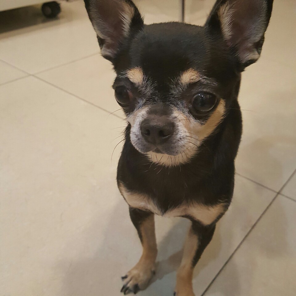 예스플러스치과 이미지