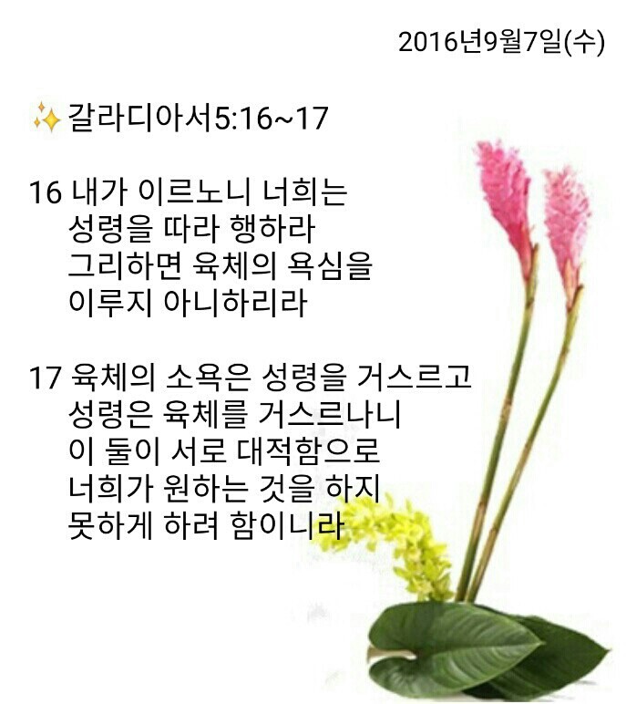 백향 이미지