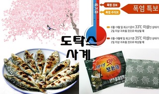 대한항공 난동 유시민,전원책 반응.ssul | 인스티즈