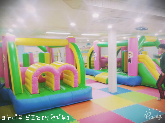 크는나무스포츠클럽 이미지