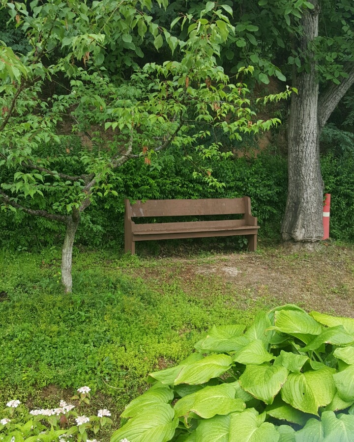 꼬사랑 이미지