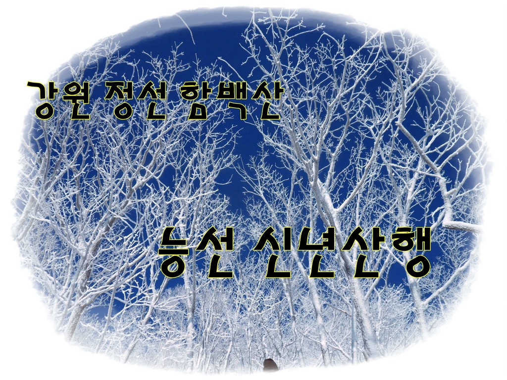 제니커피꼬마김밥 이미지