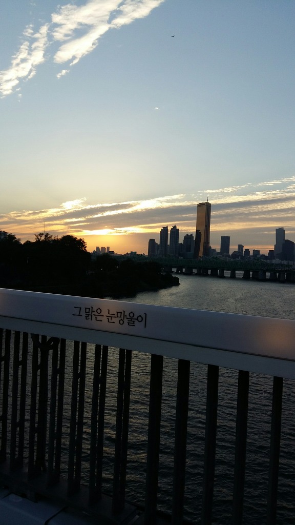 하나건해 이미지