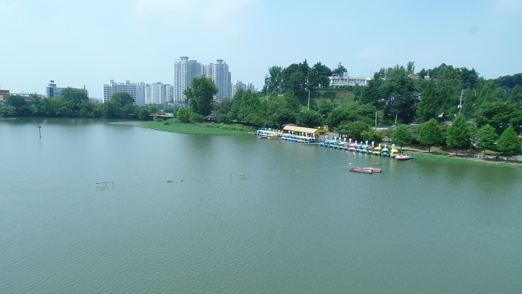 데이트 코스로 유명한 전주 덕진공원 예쁜 연꽃 풍경 | 인스티즈