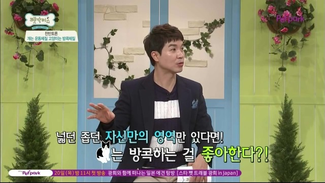 운동체질 강아지와 방콕체질 고양이?! | 인스티즈