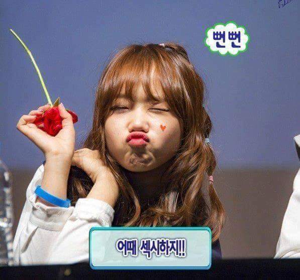 아이오아이 최유정 vs 김세정 섹시대결 | 인스티즈