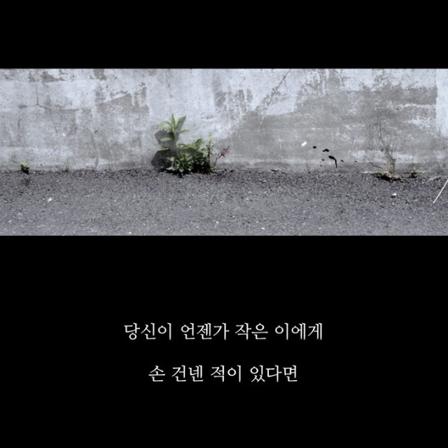 괴물스타가 섭외당할 수 밖에 없던 이유 | 인스티즈