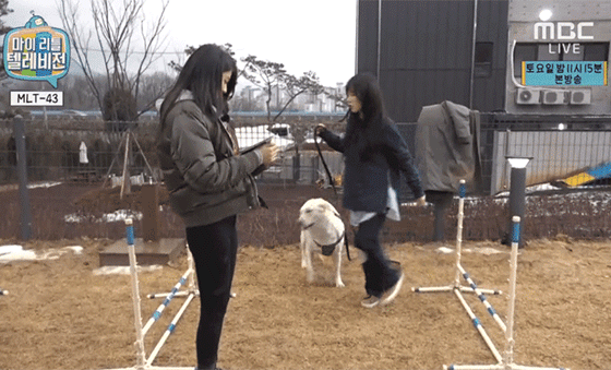 오늘자 마리텔....원맨쇼..gif | 인스티즈