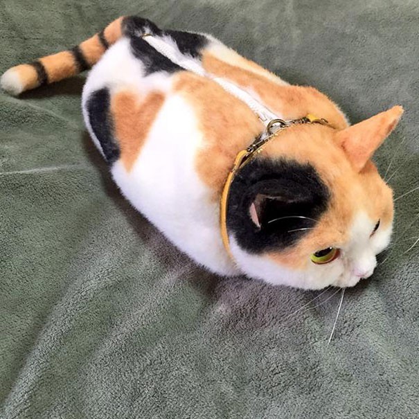 고양이 가방 | 인스티즈