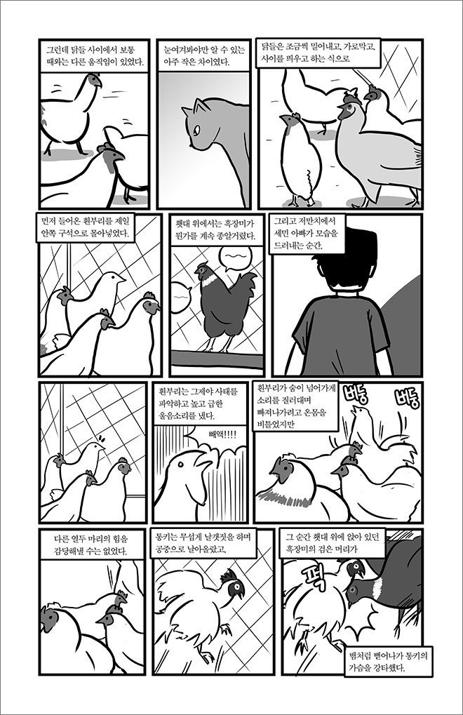 묘생만경 | 인스티즈