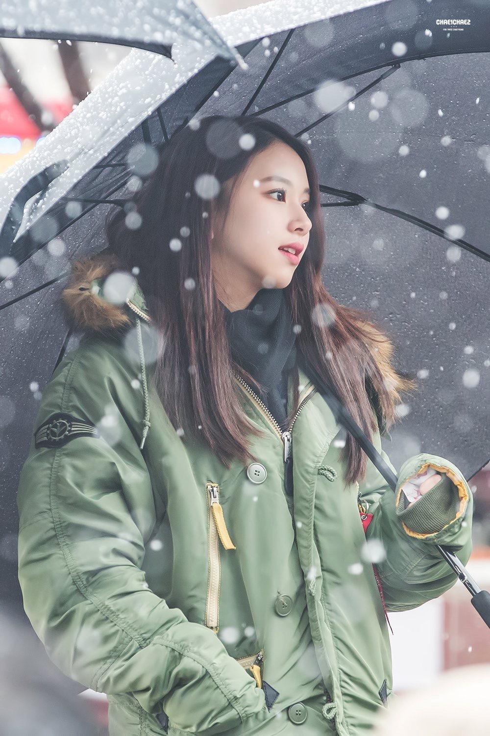 손채영 고화질 배경 사진.jpg | 인스티즈